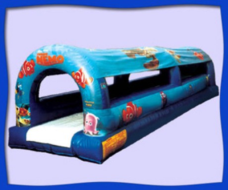 Rent the Finding Nemo Surf and Slide