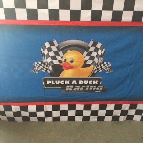 Pluck a Duck Racing Carnival Game