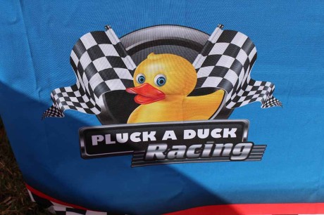 Pluck a Duck Racing Game