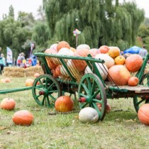 Fall Festival Games | Rent Harvest Party Games for Kids and Adults