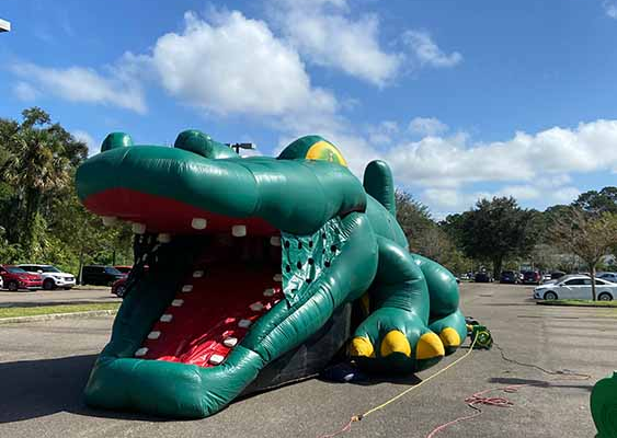Rent the Gator Hide and Slide