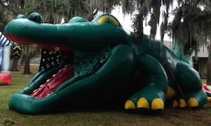 Rent the Gator Hide and Slide