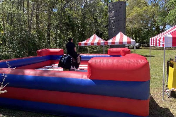 Rent the Mechanical Bull