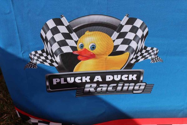 Pluck a Duck Racing Game
