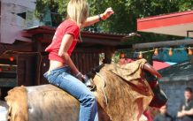 Mechanical Bull Rental: Western Theme Party Tips | Bull Ride Party Ideas