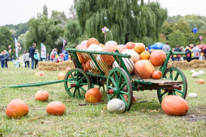 Fall Festival Games | Rent Harvest Party Games for Kids and Adults