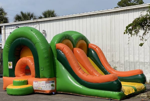Double Giant Slide and Bouncer
