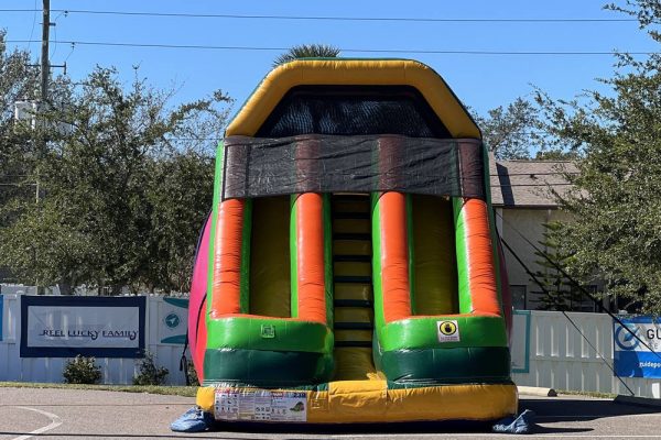 Astro Inflatable Slide